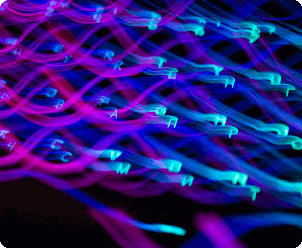 terms and conditions